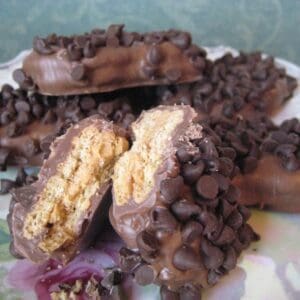 Chocolate Drenched Nutter Butter Cookies Topped With Mini Chocolate Chips