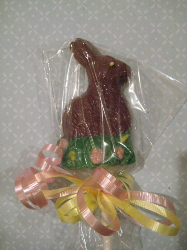 12-Milk Chocolate Easter Bunny Sitting Pretty In The Grass - Image 4