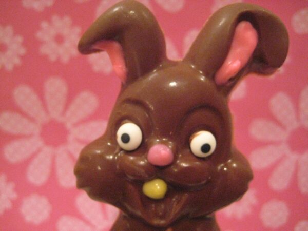 12-Sweet Smiling Large Chocolate Bunny