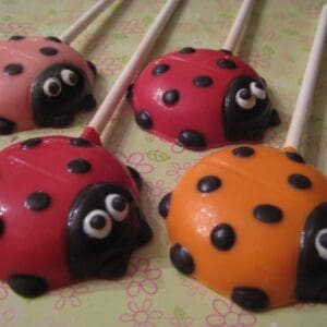12-Chocolate Ladybug Lollipop Favors