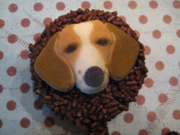 15-Adorable Doggie Face Chocolate Covered Oreo Pops - Image 2