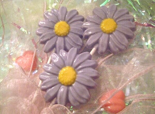 12-Chocolate Daisy Lollipop Favors - Image 5