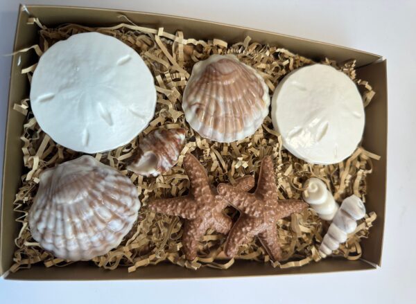 Chocolate Sea Shell Gift Box For Birthday Gift/Mothers Day Gift - Image 4