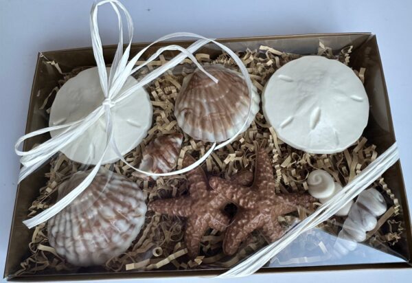 Chocolate Sea Shell Gift Box For Birthday Gift/Mothers Day Gift - Image 7