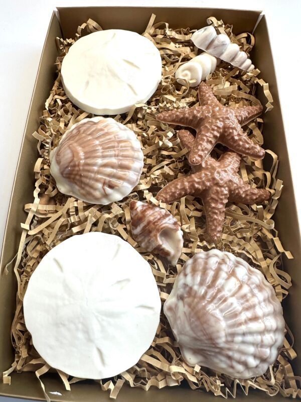 Chocolate Sea Shell Gift Box For Birthday Gift/Mothers Day Gift - Image 3