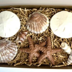 Chocolate Sea Shell Gift Box For Birthday Gift/Mothers Day Gift