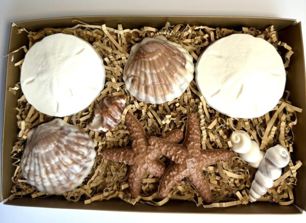 Chocolate Sea Shell Gift Box For Birthday Gift/Mothers Day Gift