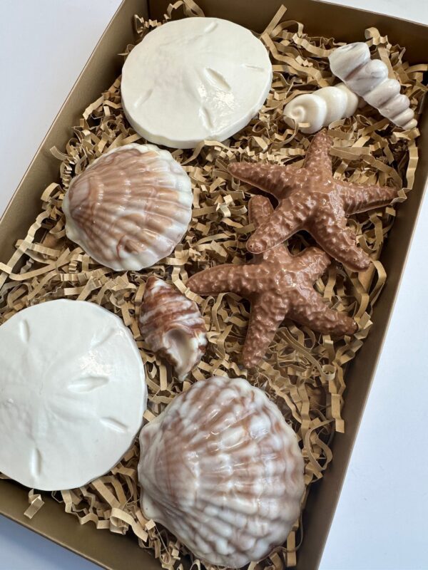 Chocolate Sea Shell Gift Box For Birthday Gift/Mothers Day Gift - Image 2