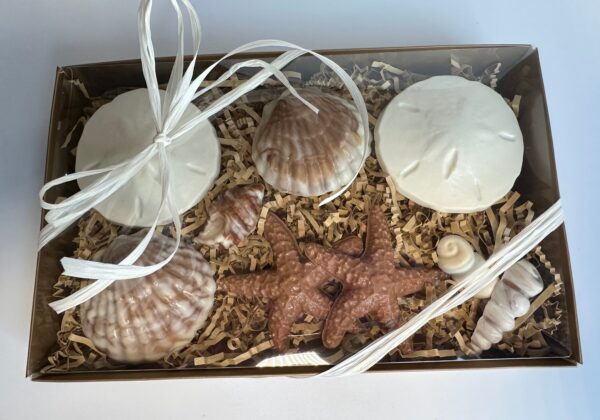 Chocolate Sea Shell Gift Box For Birthday Gift/Mothers Day Gift - Image 6