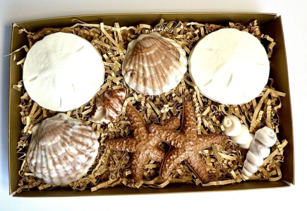 Chocolate Sea Shell Gift Box For Birthday Gift/Mothers Day Gift - Image 5