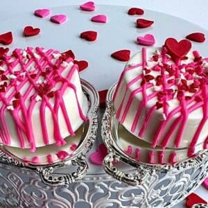 12-Valentine Decorated Chocolate Covered Oreo Favors For Valentines Day/Valentines Day Gift/Anniversary Gift/Special Occasion