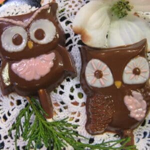 12-Chocolate Owl Lollipops For Birthday Party/Owl Theme Party/Garden Party