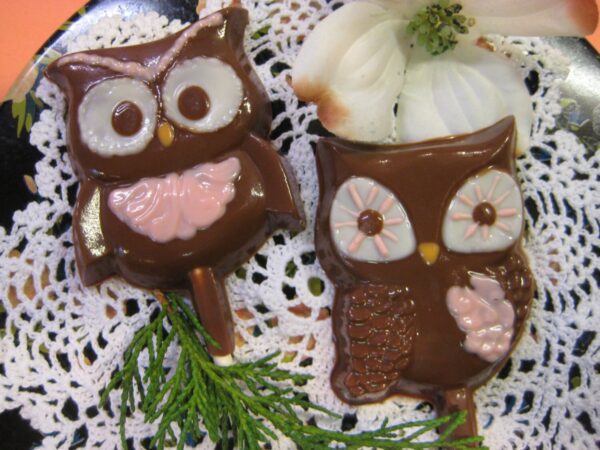 12-Chocolate Owl Lollipops For Birthday Party/Owl Theme Party/Garden Party