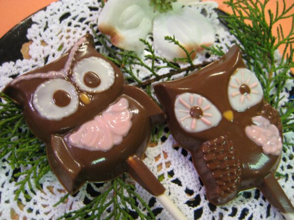 12-Chocolate Owl Lollipops For Birthday Party/Owl Theme Party/Garden Party - Image 2