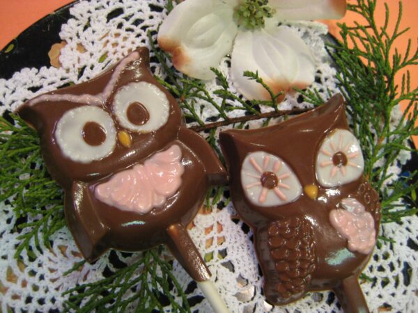 12-Chocolate Owl Lollipops For Birthday Party/Owl Theme Party/Garden Party - Image 3