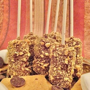 12- Double Marshmallow S'mores Pops/Bites/Marshmallow Pops/Party Favors
