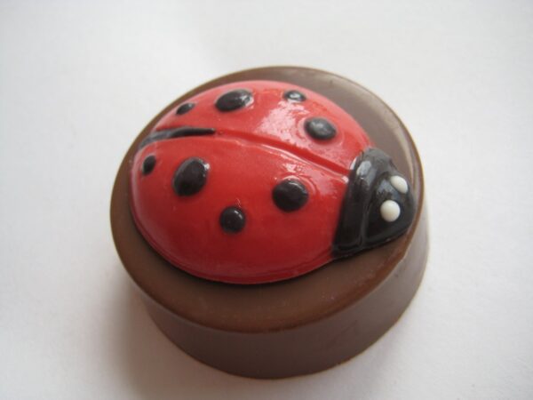12-Ladybug Chocolate Covered Oreos - Image 2