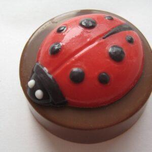 12-Ladybug Chocolate Covered Oreos