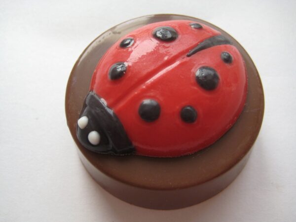12-Ladybug Chocolate Covered Oreos
