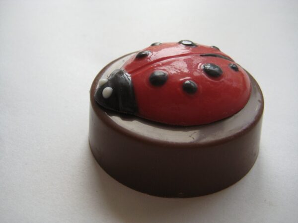12-Ladybug Chocolate Covered Oreos - Image 5