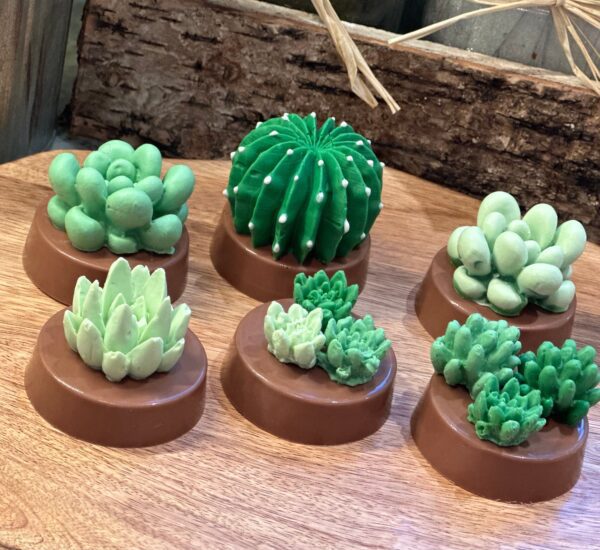 12-Succulent Chocolate Covered Oreo Favors - Image 2