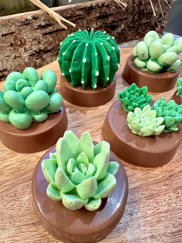12-Succulent Chocolate Covered Oreo Favors - Image 4