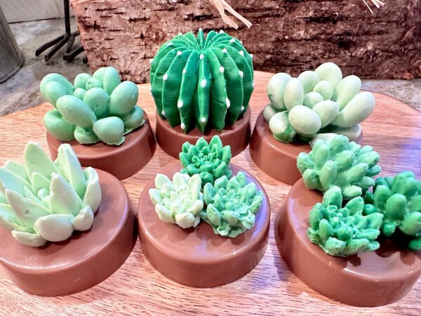 12-Succulent Chocolate Covered Oreo Favors - Image 5