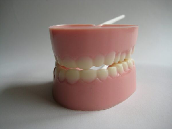 12-Teeth/Denture Chocolate Lollipops