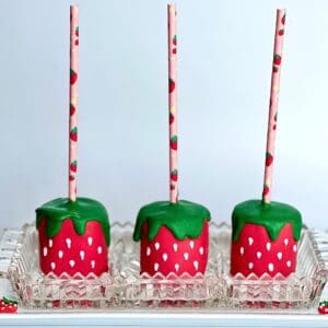 12-Strawberry Jumbo Marshmallow Pops For Birthday Party/Party Favors/Baby Shower/Picnic