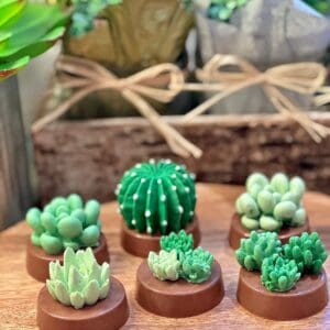 12-Succulent Chocolate Covered Oreo Favors