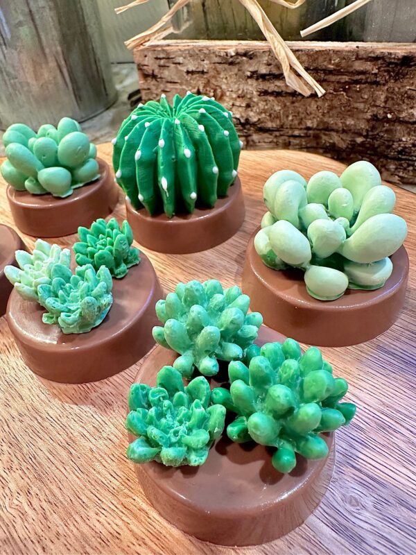 12-Succulent Chocolate Covered Oreo Favors - Image 3