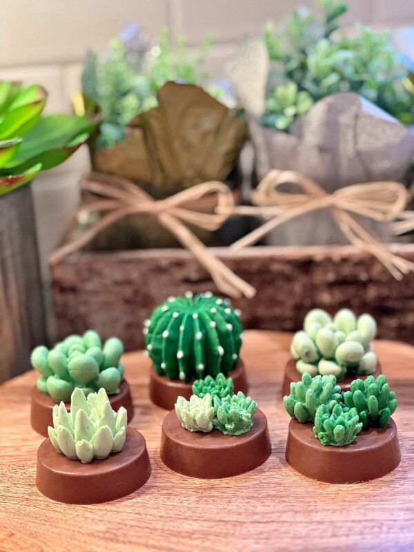 12-Succulent Chocolate Covered Oreo Favors - Image 6
