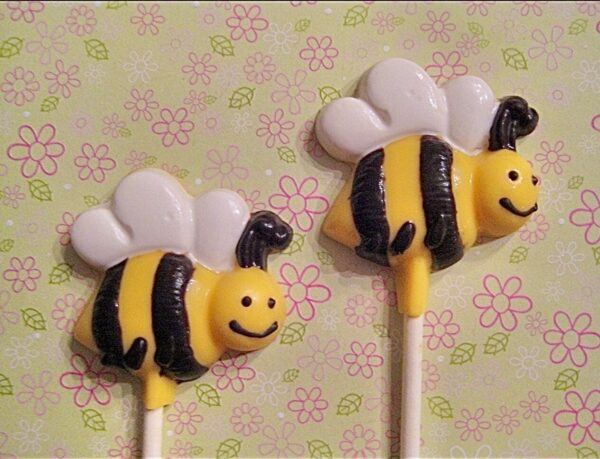 12-Buzzing Bumble Bee Chocolate Lollipop Favors